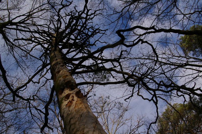 Автор фото: С