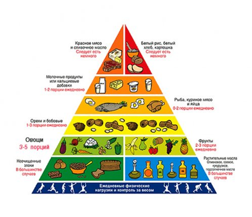 - В основу створення піраміди покладено необхідні для здорового харчування продукти, різноманітність та співвідношення яких вона ілюструє