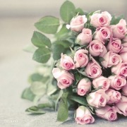 Роза - найпрекрасніше творіння природи, що володіє вишуканим ароматом
