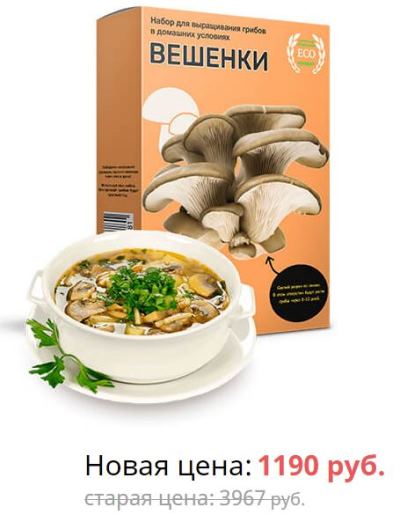 У грибах, також як і в продуктах тваринного походження, є жиророзчинні вітаміни