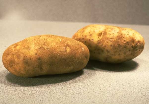 картопля вирощували вже у всіх штатах